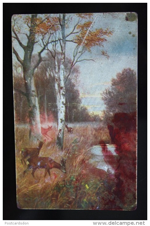 MULLER Style - Hunting - Roe Deer  - Old Vintage Postcard - Müller, August - München