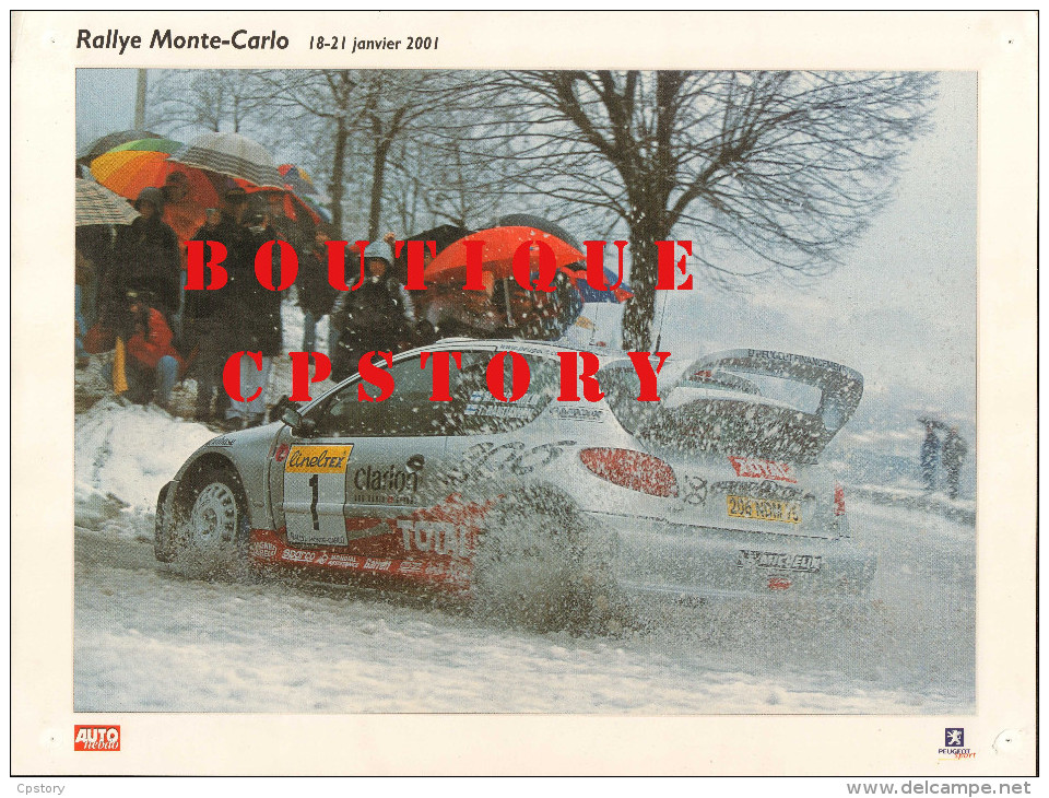 RALLYE AUTOMOBILE De MONTE CARLO - VOITURE PEUGEOT 206 - AUTO COURSE - PUBLICITE TOTAL & MICHELIN - 30x40 - Autres & Non Classés