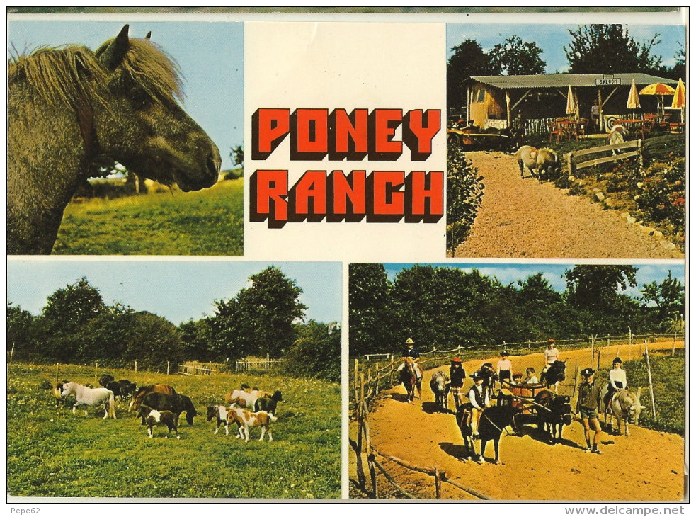 Poney Ranch-le Petit Bignon-ahuille-bar -cpm - Horses