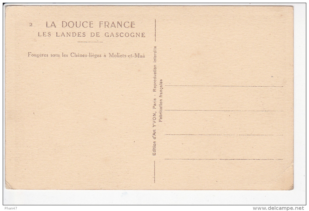 CASTETS (40-Landes),  Dans Les Landes De Gascogne, Pins Francs, Ed. Marcel Delboy,1930 Environ - Castets