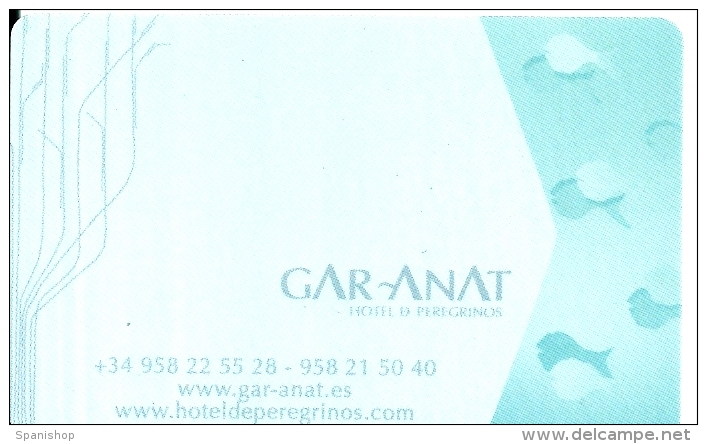 HOTEL GAR ANAT GRANADA Llave Clef Key Keycard Karte - Hotel Labels