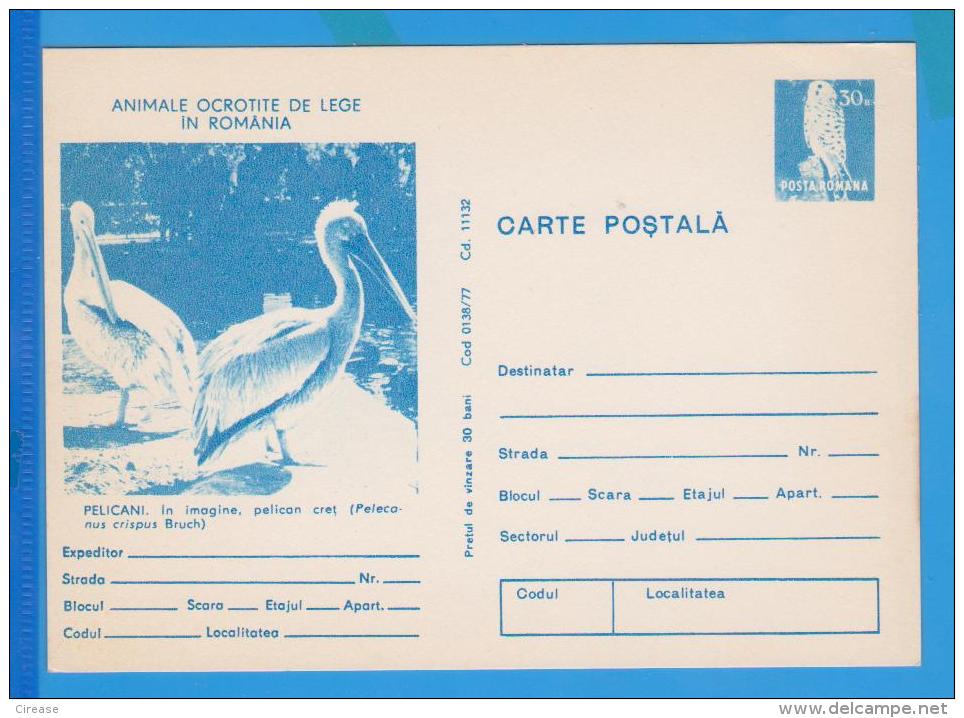 BIRDS, BIRD, OISEAUX,  PELICANS  POSTAL STATIONERY ROMANIA - Pelikanen