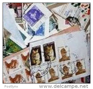 India KILOWARE DjungleBag 10 KG (22LB) Smaller Stamps      [vrac Kilowaar Kilovara Mixture] - Vrac (min 1000 Timbres)