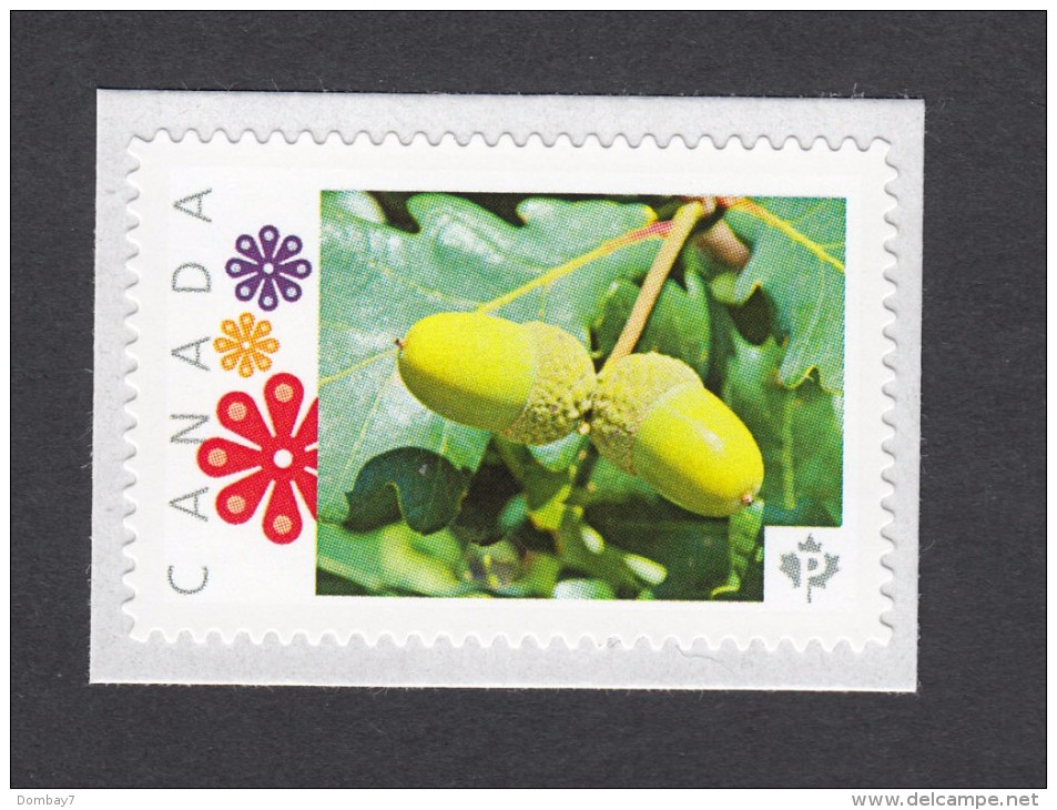 OAK TREE Picture Postage MNH Stamp, Canada 2014 [p82sn1] - Trees