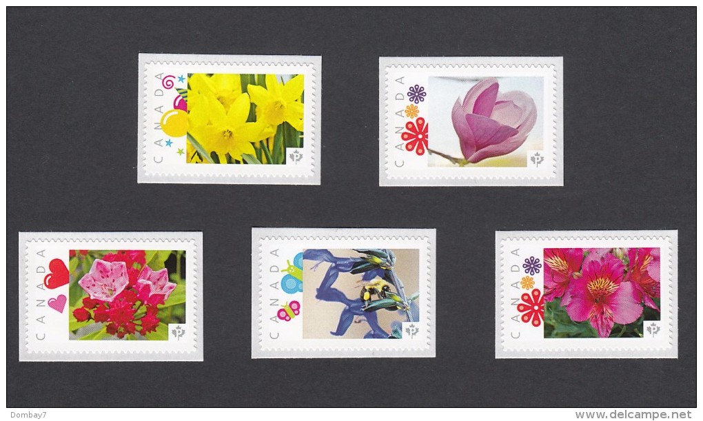 MAGNOLIA, LILY, NARCISSUS, KALMIA, SALVIA   Set Of 5 MNH Picture Postage Stamps, Canada 2014 [p83fl5] - Other & Unclassified