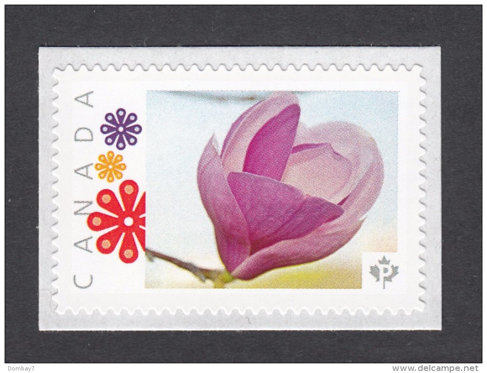 MAGNOLIA SPRING FLOWER Personalized Picture Postage  Unused Stamp, "P"- Rate.Canada 2014 [p83fl2] - Other & Unclassified