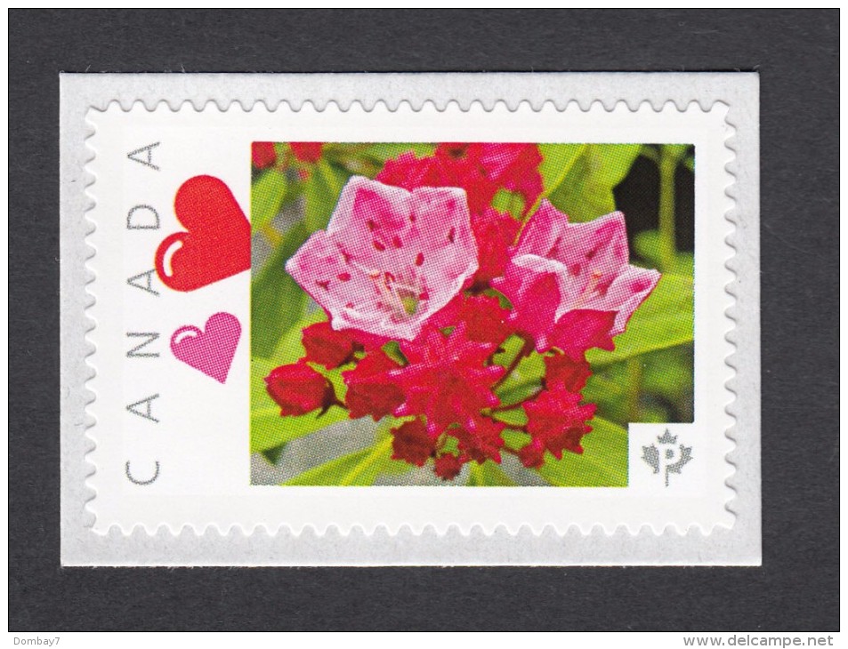 KALMIA OLYMPIC FIRE Personalized Picture Postage  Unused Stamp, "P"- Rate.Canada 2014 [p83fl4] - Other & Unclassified