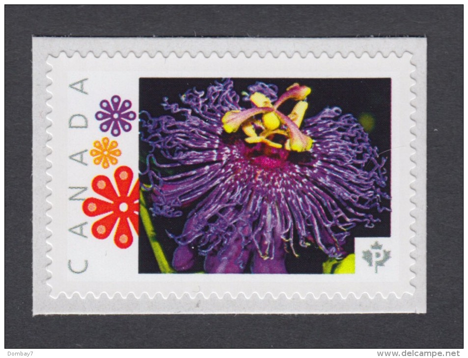 HILARY DUFF FLOWER Personalized Picture Postage  Unused Stamp, "P"- Rate.Canada 2014 [p10sn3] - Other & Unclassified