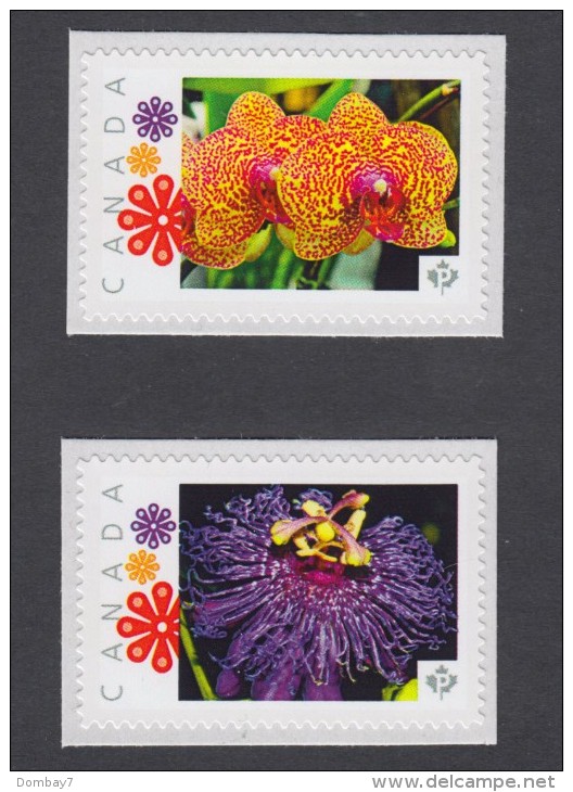 ORCHID And HILARY DUFF Flowers Personalized Picture Postage Set Of 2 Unused Stamps, "P"- Rate.Canada 2014 [p10fl2] - Orchids