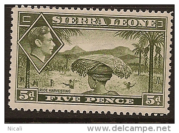 SIERRA LEONE 1938 5d KGVI SG 194 HM PL172 - Sierra Leone (...-1960)