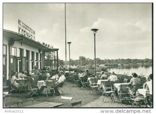 Dessau Gaststätte Kornhaus Personen An Der Terrasse Sw 1960 - Dessau