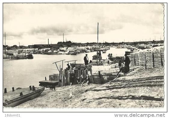 Gujan-Mestras - Le Port Vu De La Jetée - Gujan-Mestras