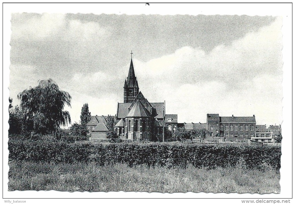 CPA - LE BIZET - Eglise St André - St Andrieskerk - CPSM   // - Comines-Warneton - Komen-Waasten