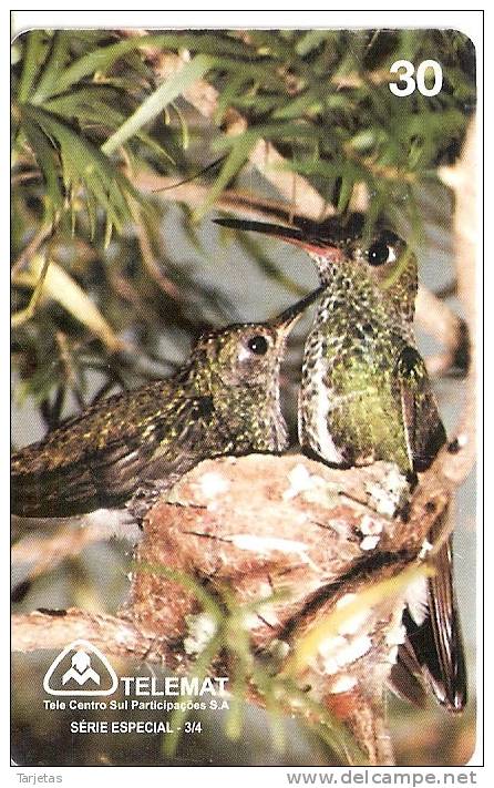 TARJETA DE BRASIL CON UN NIDO DE COLIBRI  (BIRD-PAJARO) - Otros & Sin Clasificación