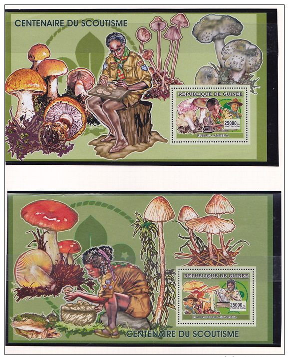 2006 Guinee - Champignons