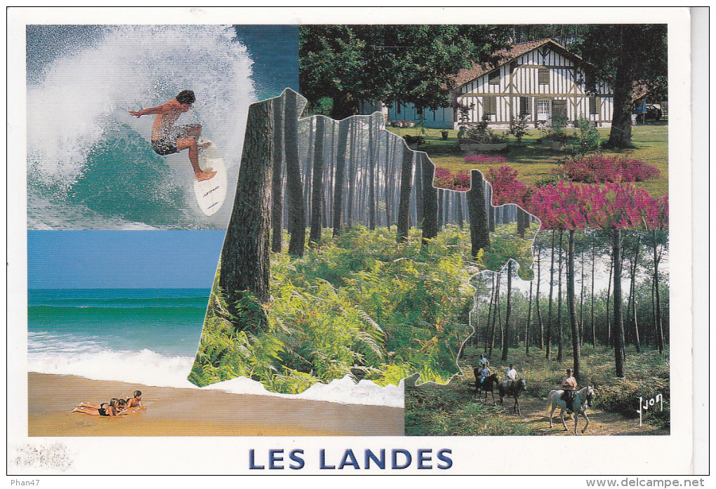 LES LANDES (40-Landes),  Surfeur, Plage, Landes, Ferme, Cavaliers, Ed. Yvon 2011 - Aquitaine