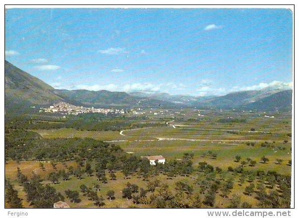 1422/FG/15 - VENAFRO (ISERNIA) - Panorama - Isernia