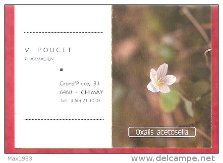 1981 - V.POUCET Pharmacien - Chimay - Petit Format : 1981-90