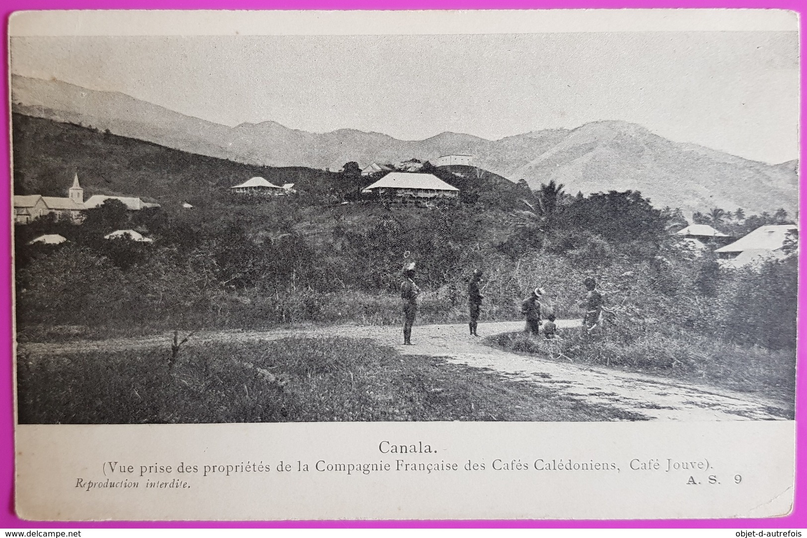 Cpa Canala Compagnie Française Des Cafés Calédoniens Café Jouve Carte Postale Nouvelle Calédonie Bon De Commande - Nouvelle Calédonie