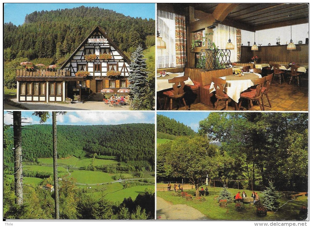 ALPIRSBACH - Gasthof-Café-Pension "Untere Mühle" - Alpirsbach