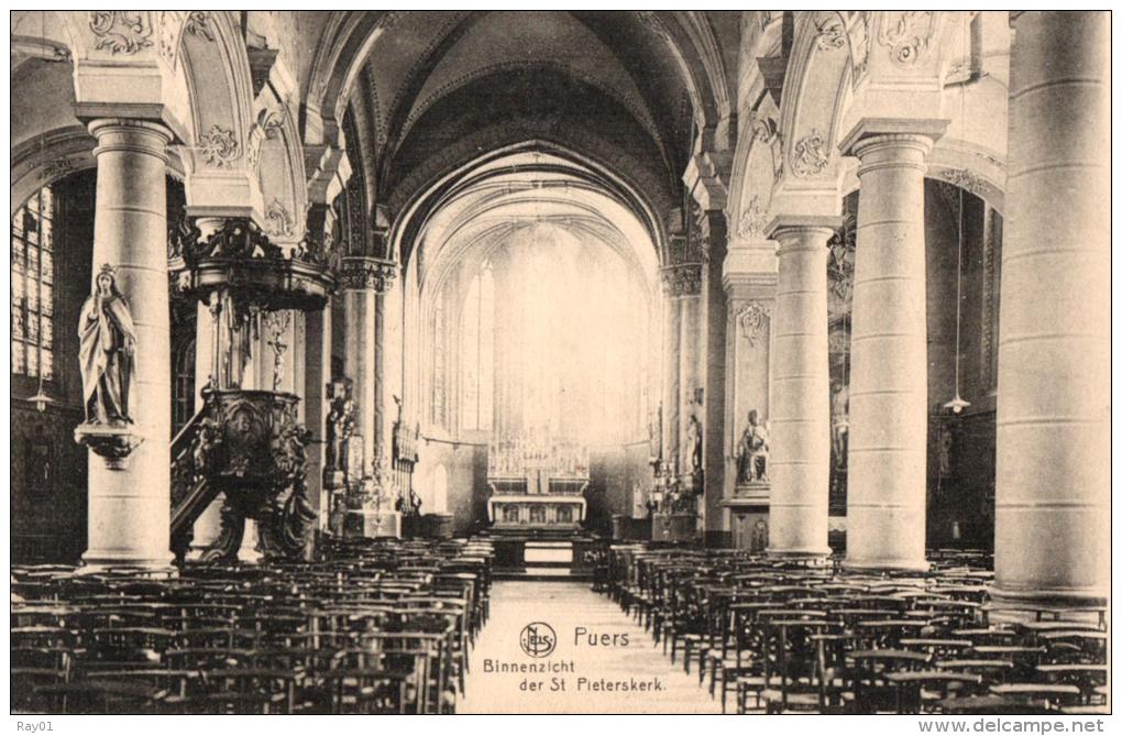 BELGIQUE - ANVERS - PUURS - PUERS - Binnenzicht Der Pieterskerk. - Puurs