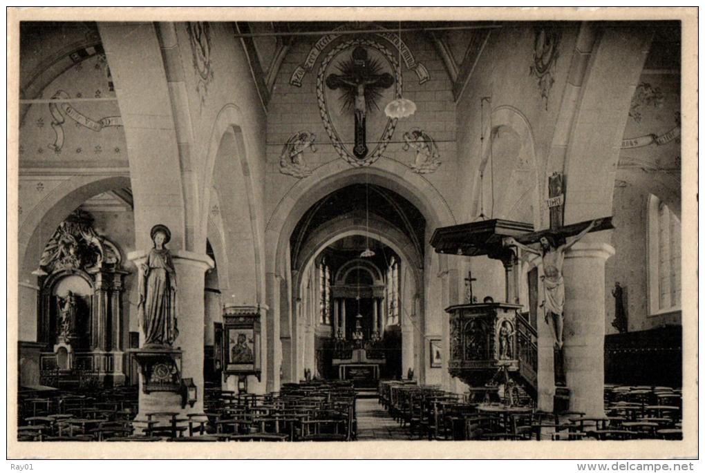 BELGIQUE - FLANDRE ORIENTALE - WACHTEBEKE - Kerk. - Wachtebeke