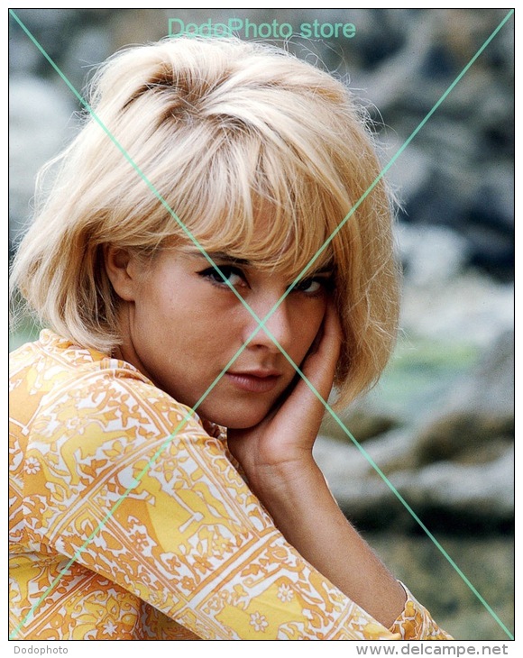 Sylvie Vartan - 0001 - Glossy Photo 8 X 10 Inches - Berühmtheiten