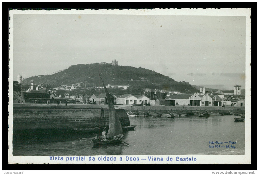 VIANA DO CASTELO -  Vista Parcial Da Cidade E Doca ( Ed. Gavaert) Carte Postale - Viana Do Castelo