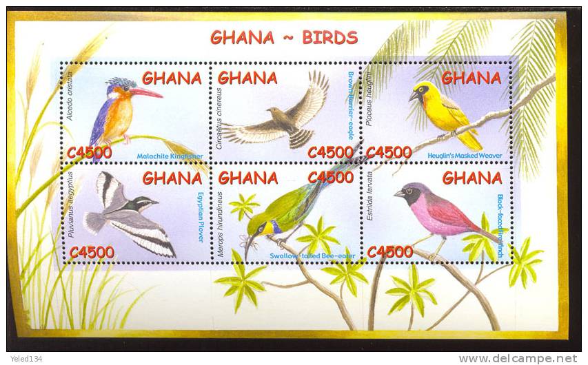 GHANA    2338  MINT NEVER HINGED MINI SHEET OF BIRDS - Sonstige & Ohne Zuordnung