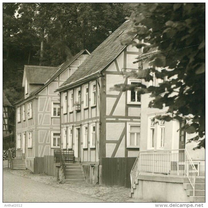 Berleburg Wohnhäuser In Der Tiergartenstrasse Sw 21.5.196x - Bad Berleburg