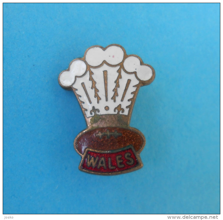 WELSH RUGBY FEDERATION - Vintage Enamel Sport Union Association Pin Badge Anstecknadel Distintivo Wales British - Rugby