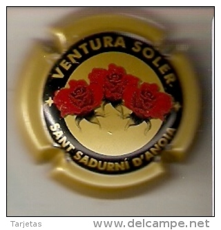 PLACA DE CAVA VENTURA SOLER DE ROSAS-FLOR-FLOWER  (CAPSULE)  Viader:2293  (RARA) - Placas De Cava