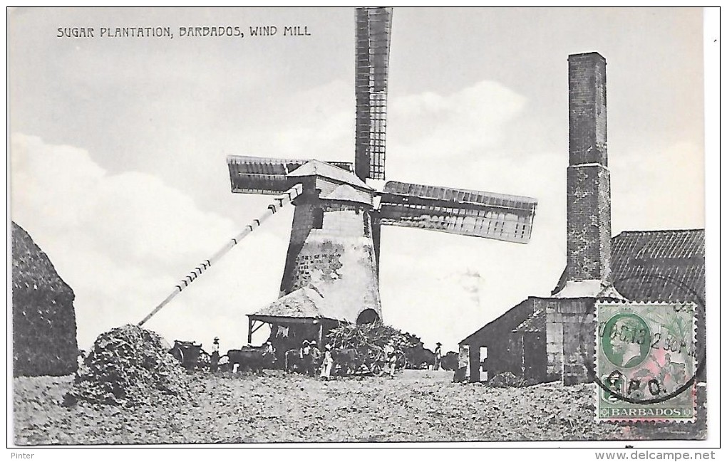 BARBADES - Sugar Plantation - Wind Mill - MOULIN A VENT - Barbades