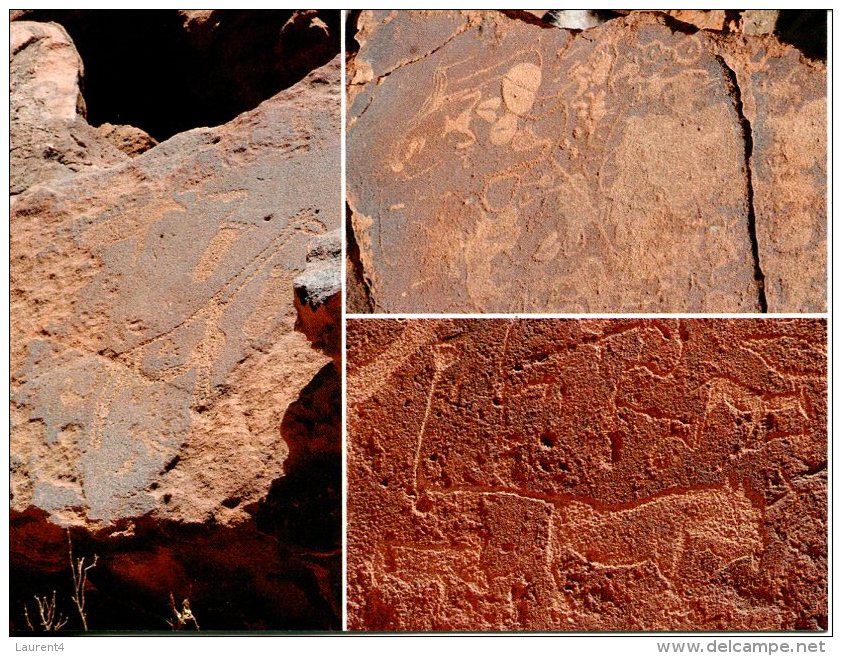 Namibia UNESCO  World Heritage Site  - Twyfelfontein (rock Carvings) - Namibie