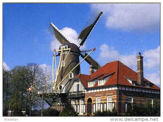 RIJKEVOORT - Boxmeer (N.Br.) - Molen/moulin - Stellingmolen "Luctor Et Emergo" Opgezeild En In Werking (2002) - Liggend - Boxmeer