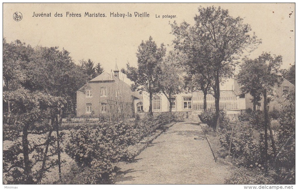 Habay-la-Vieille - Juvénat Des Frères Maristes - Le Potager - Habay