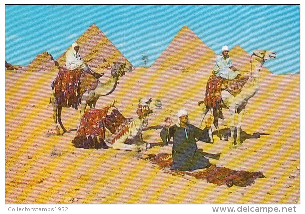 19140- GIZEH- THE PYRAMIDS, MAN PRAYING, CAMELS - Gizeh