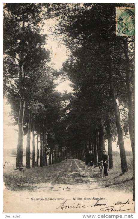 SAINTE GENEVIEVE ... ALLEE DES SAPINS - Sainte-Geneviève