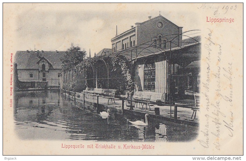 AK Bad Lippspringe Lippequelle Mit Trinkhalle Und Kurhaus-Mühle S/w Gelaufen 16.8.02 - Bad Lippspringe