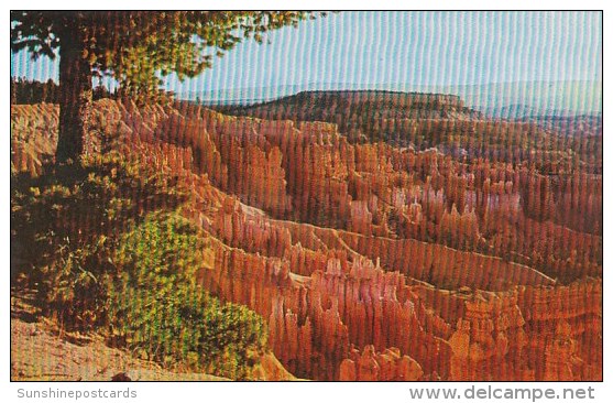 Boat Mesa And The Queen's Garden Bryce Canyon National Park Utah - Bryce Canyon