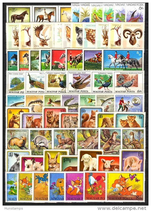 Hungary 1966-1989. Animals Stamp Collection With Betters, 10 Complete Sets MNH (**) - Sammlungen