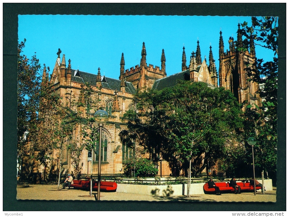 AUSTRALIA  -  Sydney  Cathedral Church Of St Andrew  Unused Postcard As Scan - Sydney