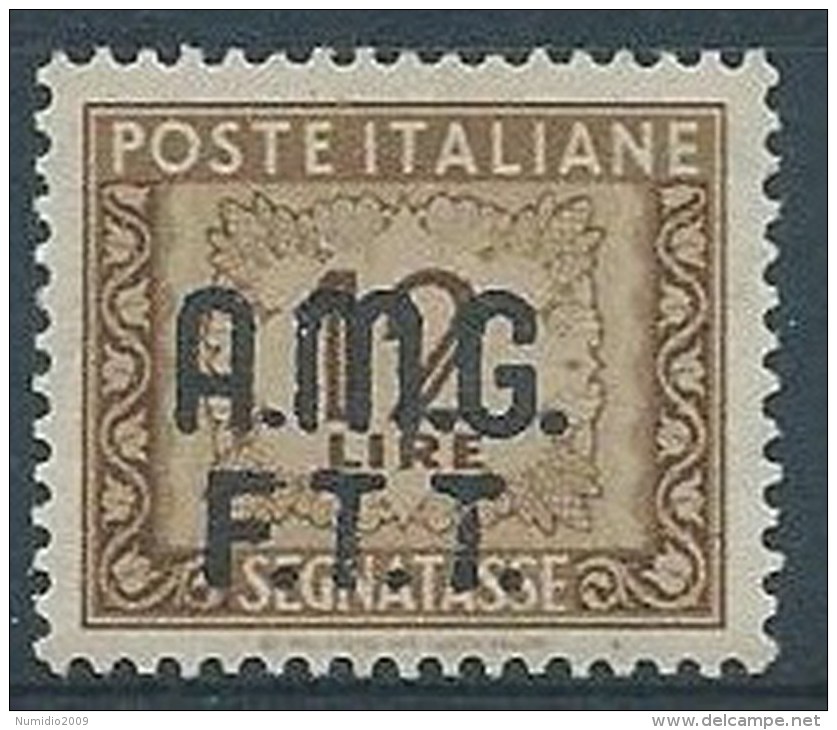 1947-49 TRIESTE A SEGNATASSE 2 RIGHE 12 LIRE LUSSO MNH ** - W176 - Strafport