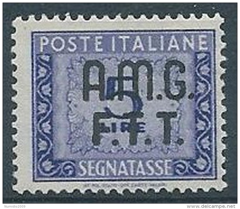 1947-49 TRIESTE A SEGNATASSE 2 RIGHE 5 LIRE MNH ** - W176 - Postage Due