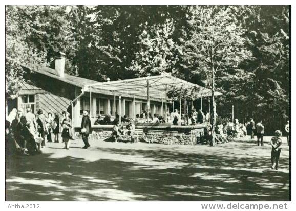 Waldcafe Kaffee Cafe Lenkgrund Frauenwald Th. Rennsteig Bei Suhl Sw 1973 - Suhl