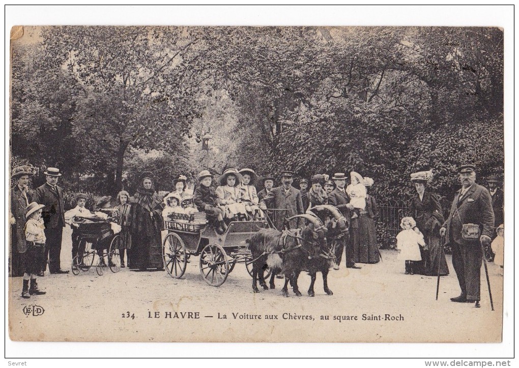 LE HAVRE - La Voiture Aux Chèvres , Au Square Saint-Roch. Carte RARE - Square Saint-Roch