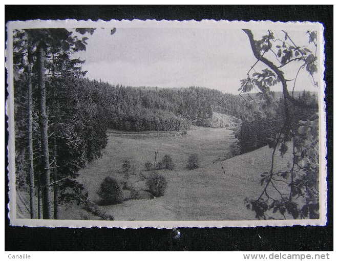 PB-n°124 / Liège - Bullange - Buellingen / Rocherath-Krinkelt -  Blik Auf Olefterberg Und Wildenberg  / Circulé Non - Büllingen