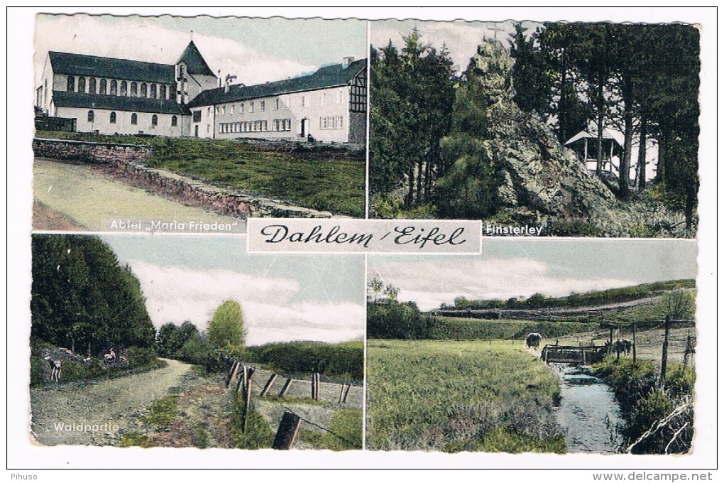 D5183     DAHLEM : Multiview - Bitburg