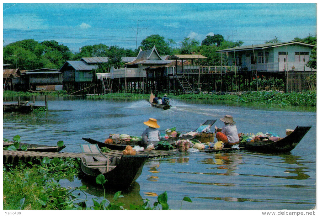 TAILANDIA:  THE PEOPLE MAKE LIFE ON THE WATWR ON THE RIVER,CANALS IN THE COUNTRIES  OF THAILAND     (VIAGGIATA) - Tailandia