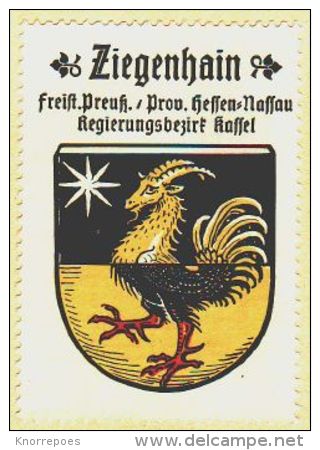 Werbemarke (Reklamemarke, Siegelmarke) Kaffee Hag : Wappen Von Ziegenhain (type 2) - Tea & Coffee Manufacturers